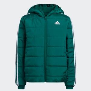 Adidas Kids Teal Puffer Jacket with Hood